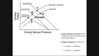 Cardiac amp Vascular Function Curves EXPLAINED [upl. by Bach264]