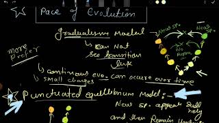 Evolution gradualism and punctuated equilibrium model  pace of evolution csir net [upl. by Schlessel]