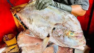 Amazing Most Popular Big Para Fish Cutting Skills Live In Srilanka Negombo Fish Market [upl. by Grayson]