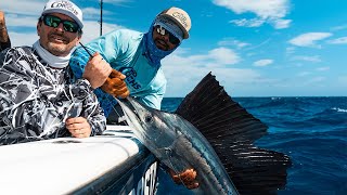 How to catch BAIT using the BALLYHOOP and KITE FISH for SAILFISH  Two Conchs Online TVEP 42 [upl. by Wallford937]