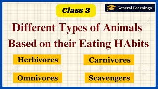 Types of animals based on their Eating Habits  Class 3 Science Complete Chapter generallearnings91 [upl. by Eisac]