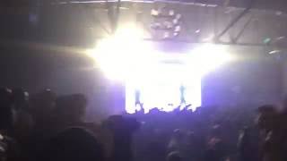 Flatbush Zombies Palm Trees Live in Houston [upl. by Elrae73]