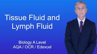 A Level Biology Revision quotTissue Fluid and Lymph Fluidquot [upl. by Bank]