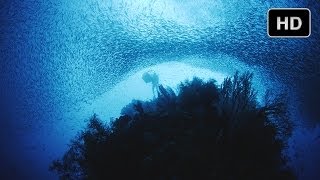 Underwater Fireworks  Journey to the South Pacific [upl. by Elik429]