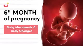 6 Month Pregnancy Baby Movement  6 Month Pregnancy  Six Month Pregnancy Baby Movement [upl. by Akcirahs162]