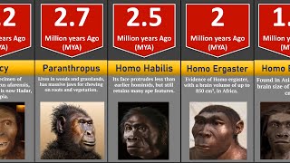 Human evolution and timeline [upl. by Horgan]