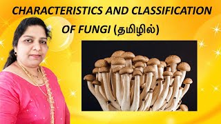 Characteristics and Classification of fungi Microbiology notes  Explanation in Tamil  Dr Blessy [upl. by Canter]