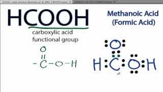 HCOOH Lewis Structure How to Draw the Lewis Structure for HCOOH [upl. by Leonore319]