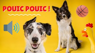 🔊 BRUIT POUR CHIEN POUIC 🐶 Bruit jouet pour chien  Bruitage jouet chien RÉACTION GARANTIE😂 [upl. by Jarin]