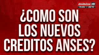 JUBILADOS ¿Cómo son los nuevos créditos de ANSES [upl. by Mackie]