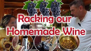 Racking our Homemade WineWine RackingRed Wine Dry Wine Chancellor WineHow to do it [upl. by Enitnelav571]