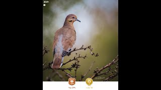 Photocrowd Photography Awards Wildlife and Bird Photography Pentax K1II K70 DA560 DFA 150450 [upl. by Neraj]