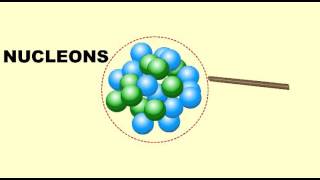 What is Nucleus Introduction [upl. by Harding708]