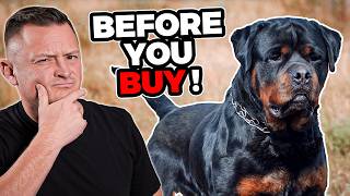 Is the Rottweiler Right For You [upl. by Bone]