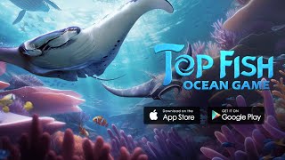 Top Fish Official iOS  Gameplay Android  iOS [upl. by Charry]