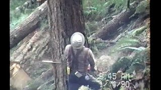 Logging Olympic Peninsula 1 [upl. by Rabelais505]