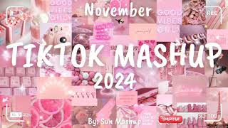 Tiktok Mashup November 🌺🌺2024🌺🌺 Not Clean [upl. by Derag124]