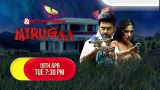 Mirugaa  amppictures Premiere  19th April 730 PM [upl. by Daphie665]