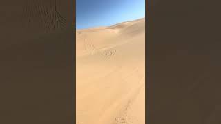 Amazing time Jeeping The Namib Desert NamibNaukluft National Park Sandwich Harbour Namibia 🇳🇦 [upl. by Leslie134]