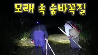 계곡하천강 3일간 야간 족대질 모래가 있다면 이 물고기도 있다  모래밭 그냥 지나치지 마세요 [upl. by Gillian927]