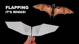 How to make a paper plane fly like a bat Incredible Paper Airplanes [upl. by Erihppas]