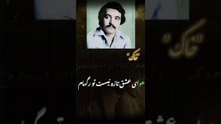 Fereydoon Foroughi  Khak  فریدون فروغی  خاک [upl. by Dinsmore216]