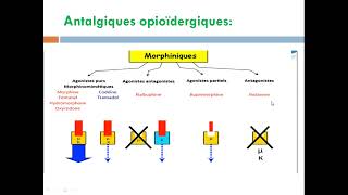 cour14 les antalgiques [upl. by Suiramad]