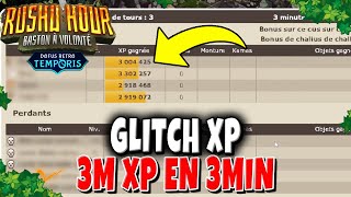 Glitch XP 3M XP en 3min sur Dofus Retro Temporis 3 [upl. by Artaed]