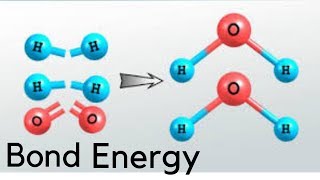 5 Thermochemical equations and bond energy 1st year secondary second term [upl. by Nnayllas]