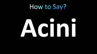 How to Pronounce Acini [upl. by Einrae727]