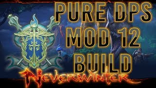 Neverwinter  Pure DPS Oathbound Paladin Build  15k OP [upl. by Sedda]