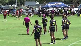 Cyril Connell Cup 2024 Round 2 Brisbane Tigers vs Tweed Seagulls 17022024 [upl. by Winterbottom]