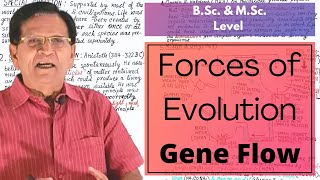 Forces of Evolution  Gene Flow  BSc amp MSc Level [upl. by Lilias97]