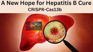 CRISPR Cas13b Inhibition of Hepatitis B Virus  A New Hope for Hepatitis B Cure [upl. by Llerrad]