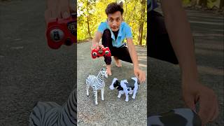 RC Remote control Two Horse 🐎 with Cow testing 🔥 [upl. by Brinson]