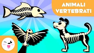 ANIMALI VERTEBRATI per bambini  Mammiferi uccelli rettili pesci e anfibi [upl. by Enelrae]