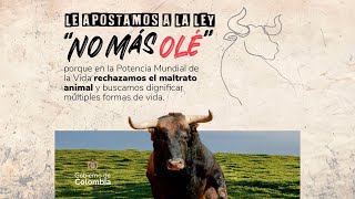 EnVivo Sanción Presidencial de la Ley quotNo más Olequot que prohíbe las corridas de toros [upl. by Eatnohs]