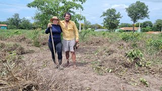 COMEÇAMOS A LIMPAR O NOVO TERRENO PARA COMEÇAR CONSTRUIR vida na roça [upl. by Drolyag]