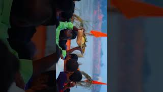 Chhath puja new song 2024 chhathshortsytstudio songviralvideos [upl. by Akanke]