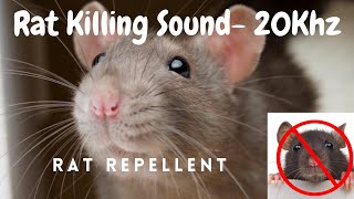 Anti Rat Repellent  Mouse Killer Sound  Very High Pitch Sound  20Khz  Kill Rats using mobile [upl. by Leggat]