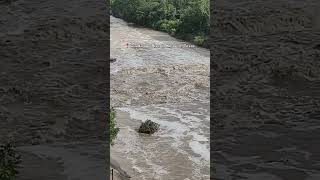 Guadalupe River in Kerrville Texas [upl. by Louanne]