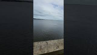 Crabbing at Goffinsville pierYulee Florida 101824 [upl. by Crim]