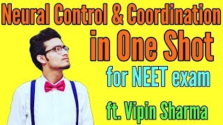 Neural Control and Coordination in One Shot for NEET ft Vipin Sharma [upl. by Liponis]