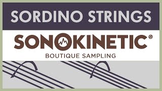 Alex Niedt  Small Wonders Sonokinetic Sordino Strings Official Demo [upl. by Eugirne842]