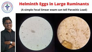 Helminth Eggs  Bovine Diseases  Lecture 02 [upl. by Ellenrahc]