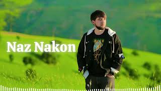 Naz Nakon cover by ali [upl. by Erma613]