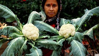 Gobhi ki Sabzi Recipe  Farm Fresh Cauliflower Recipe Indian Style prepared by our Kakima [upl. by Adella679]