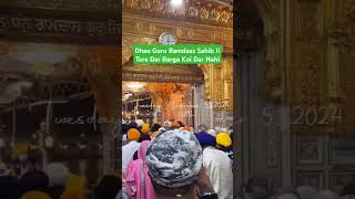 Sachkhand Sri Darbar Sahib Ji Live shortsfeed shorts viralshort darbarsahib ytshorts live [upl. by Cleary]