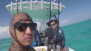 Bimini Weekend Trip  Spearfishing and Snorkeling [upl. by Elsilrac302]