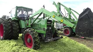 OLTIMER HAKSELDAG DALEN 2024 DE MAIS KUIL FENDT 611 [upl. by Genet]